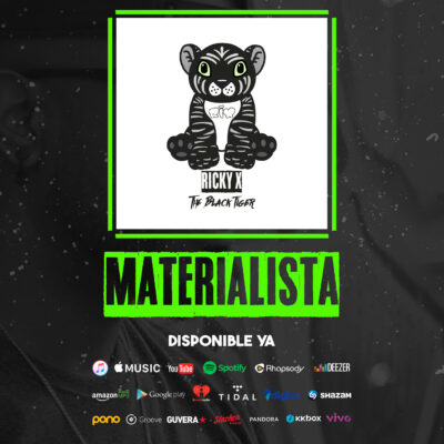 COVER - RICKY X - MATERIALISTA